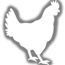 Robachicken Logo